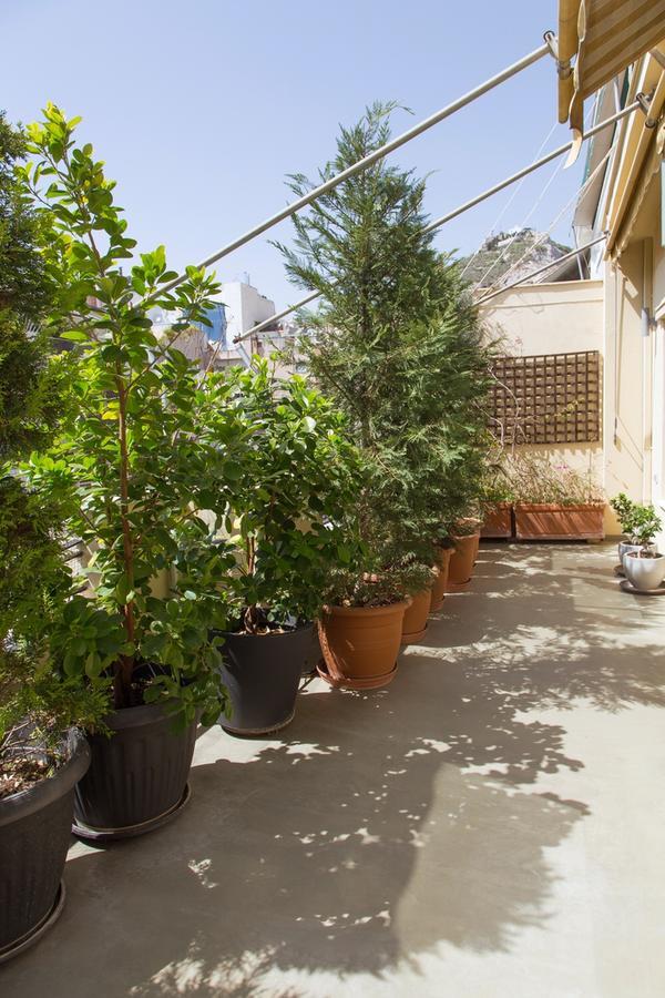 Apartmán Beautiful Penthouse In Athens With Outside Jacuzzi Exteriér fotografie